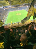 05.-BVB-VfL-Bochum_27.09.2024-11