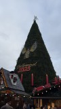 13.-BVB-TSG-Hoffenheim_07.12.2025-02