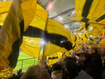 15.-VfL-Wolfsburg-BVB_22.12.2024-03