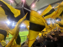 15.-VfL-Wolfsburg-BVB_22.12.2024-04