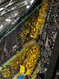 15.-VfL-Wolfsburg-BVB_22.12.2024-05