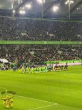 15.-VfL-Wolfsburg-BVB_22.12.2024-06