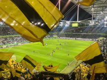 15.-VfL-Wolfsburg-BVB_22.12.2024-12