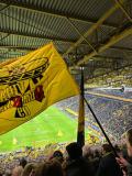 17.-BVB-Werder-Bremen_13.01.2026-17