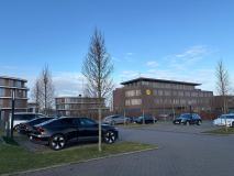 20.-BVB-1.-FC-Heidenheim_01.02.026-09