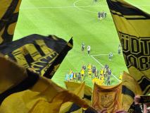 25.-1.-FC-Koeln-BVB_08.03.2026-26