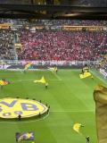 27.-BVB-FSV-Mainz-05_30.03.2025-14