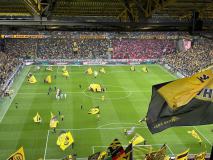 27.-BVB-FSV-Mainz-05_30.03.2025-17