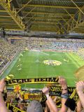 30.-BVB-B.-Moenchengladbach_20.04.2025-11