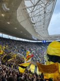 31.-TSG-Hoffenheim-BVB_26.04.2025-05