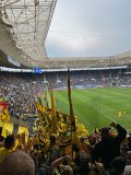 31.-TSG-Hoffenheim-BVB_26.04.2025-06