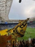 31.-TSG-Hoffenheim-BVB_26.04.2025-08