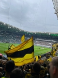 32.-B.Moenchengladbach-BVB_03.05.2026-11