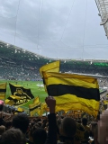 32.-B.Moenchengladbach-BVB_03.05.2026-14