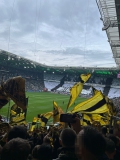 32.-B.Moenchengladbach-BVB_03.05.2026-17