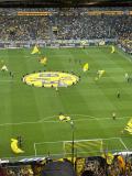 32.-BVB-VfL-Wolfsburg_03.05.2025-09