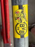 33.-Bayer-Leverkusen-BVB_11.05.2025-08
