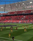 33.-Bayer-Leverkusen-BVB_11.05.2025-22