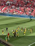 33.-Bayer-Leverkusen-BVB_11.05.2025-24