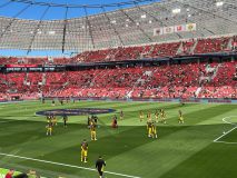 33.-Bayer-Leverkusen-BVB_11.05.2025-26