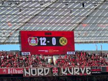 33.-Bayer-Leverkusen-BVB_11.05.2025-35