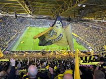 33.-BVB-Eintracht-Frankfurt_08.05.2026-06