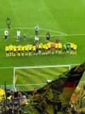 33.-BVB-Eintracht-Frankfurt_08.05.2026-11