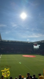 33.-FSV-Mainz-05-BVB_11.05.2024-02