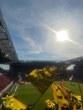 33.-FSV-Mainz-05-BVB_11.05.2024-14