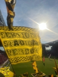 33.-FSV-Mainz-05-BVB_11.05.2024-17