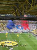 34.-BVB-Holstein-Kiel_17.05.2025-15