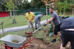 Arbeitseinsatz_13.09.2025-08