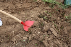 Arbeitseinsatz_13.09.2025-13