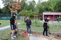 Arbeitseinsatz_13.09.2025-15