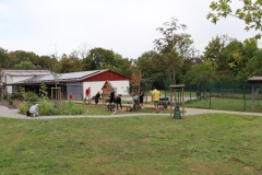Arbeitseinsatz_13.09.2025-16