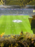 CL04.-BVB-Sturm-Graz_05.11.2024-04