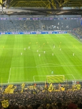 CL04.-BVB-Sturm-Graz_05.11.2024-08