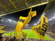 CL08.-BVB-Shachtar-Donetzk_29.01.2025-09