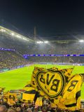 CLZR-HS-BVB-Atalanta-Bergamo_17.02.2026-05