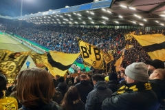 DFBP-1-8Finale_VfL-Bochum-BVB_08.02.2023-16