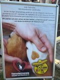 Sommerfest_08.08.2026-05